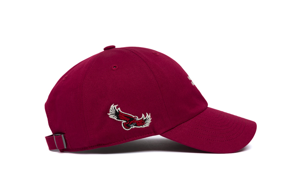 ST JOSEPH'S Name Dad