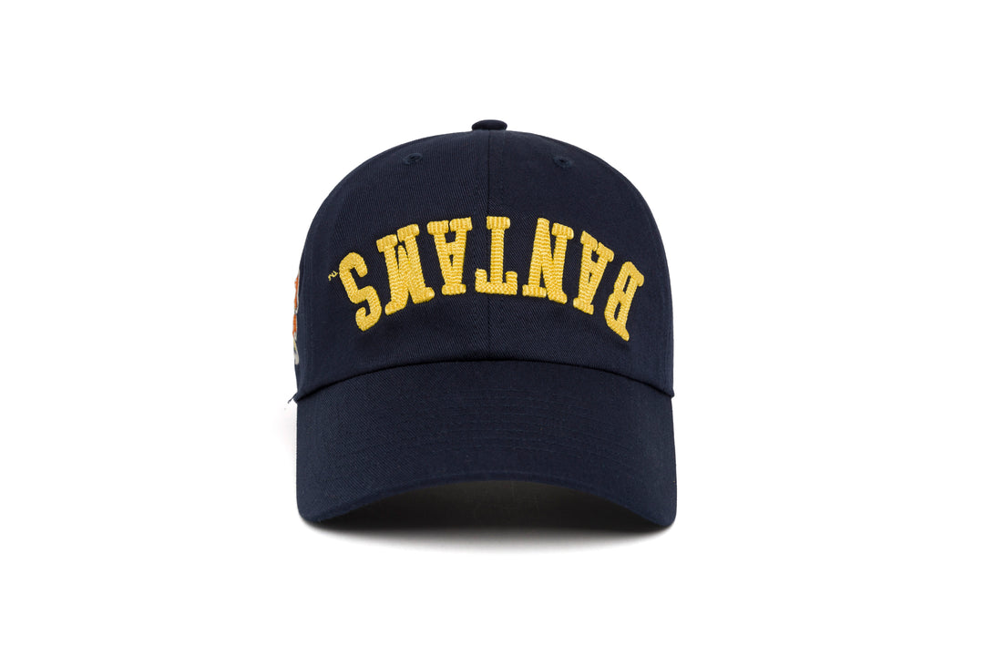 TRINITY Bottoms Up 3D Chain Dad wool baseball cap