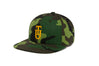 TUSKEGEE Logo 3D Chain Canvas
    wool baseball cap indicator