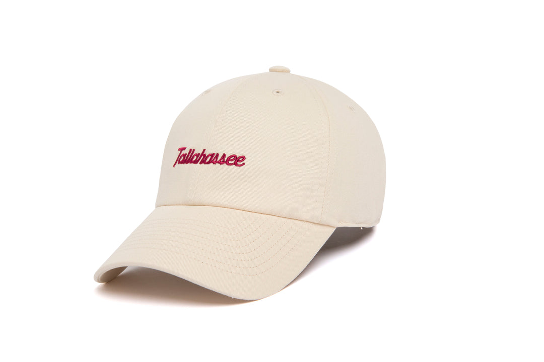 Tallahassee Microscript Dad wool baseball cap