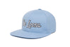 The Loons 3D
    wool baseball cap indicator