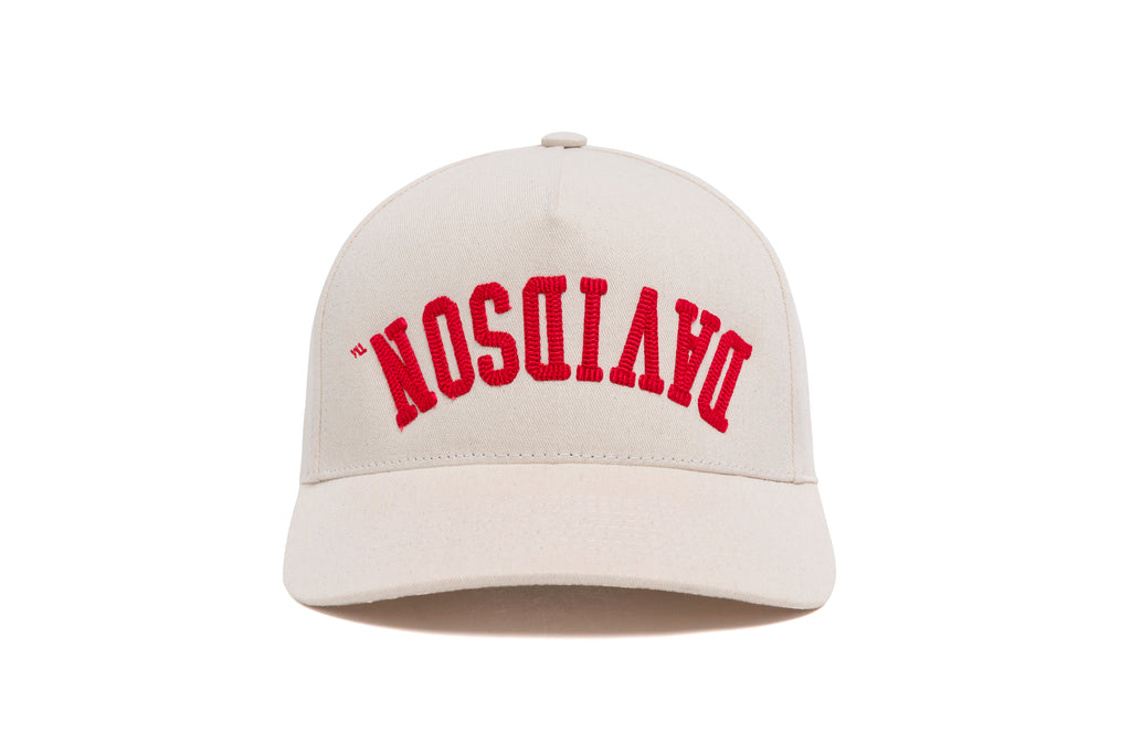 DC Bottoms Up 3D Chain Brushed Twill 5-Panel