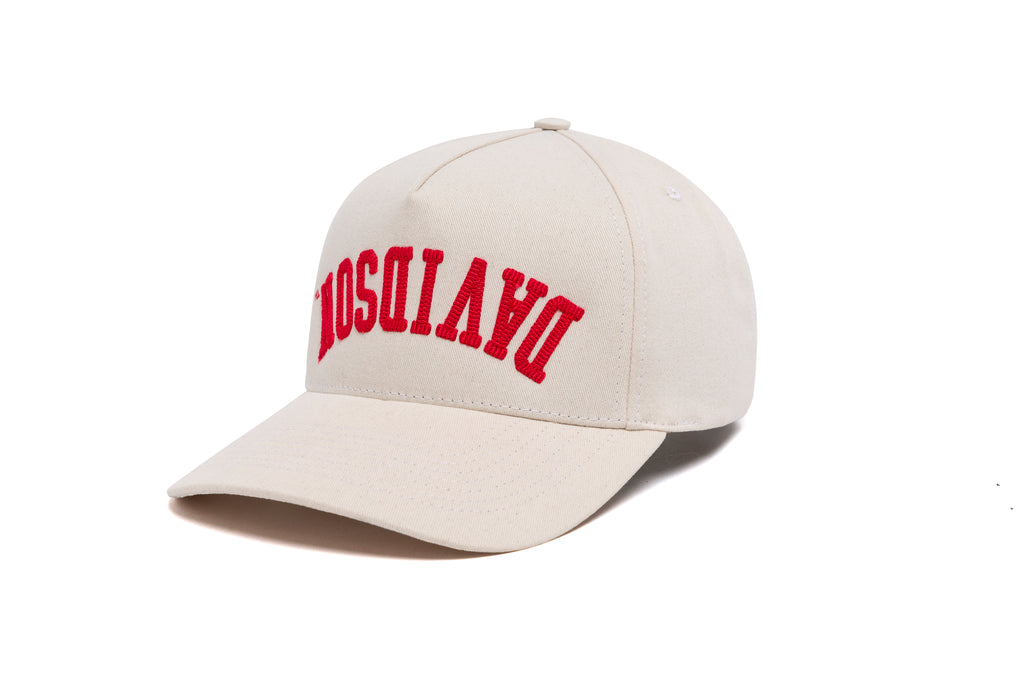 DC Bottoms Up 3D Chain Brushed Twill 5-Panel