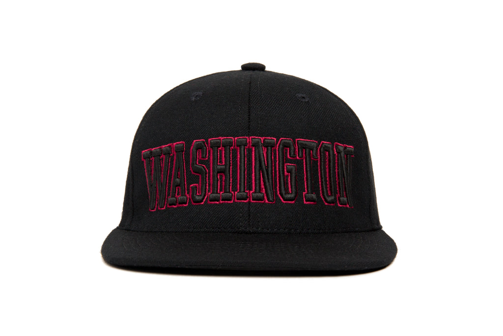 WASHINGTON 3D