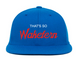 Hat Customizer
    wool baseball cap indicator