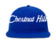 Hat Customizer
    wool baseball cap indicator